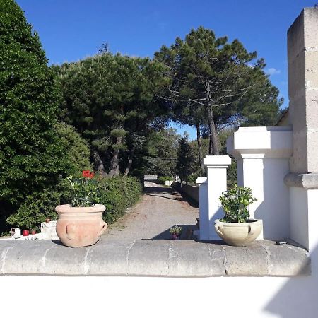 B&B Trulli E Mare Μαρτίνα Φράνκα Εξωτερικό φωτογραφία